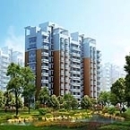 亞星房地產開發公司-亞星房地產開發公司鄭州分公司