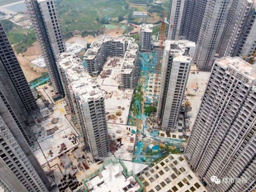 鄭州一群業主買的商品房不但交房無期 還變成了安置房